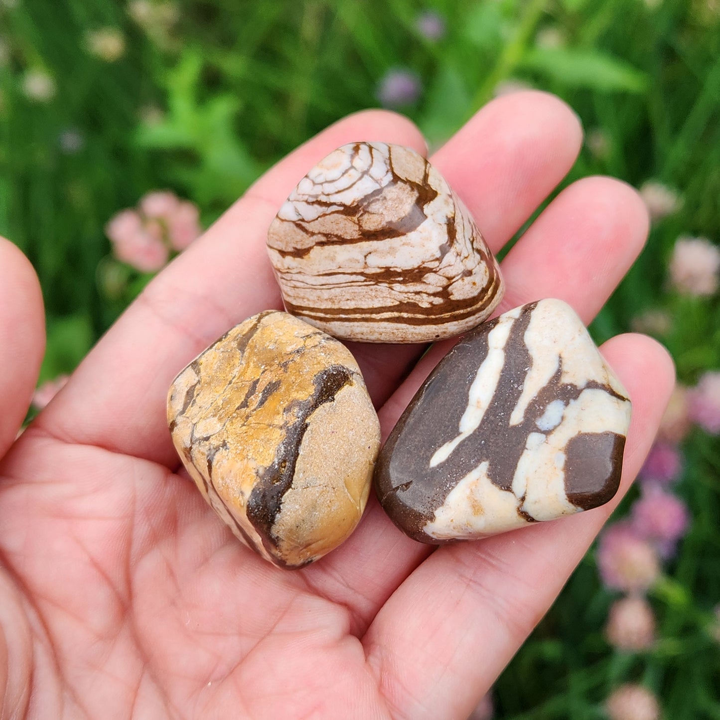 Red Zebra Jasper