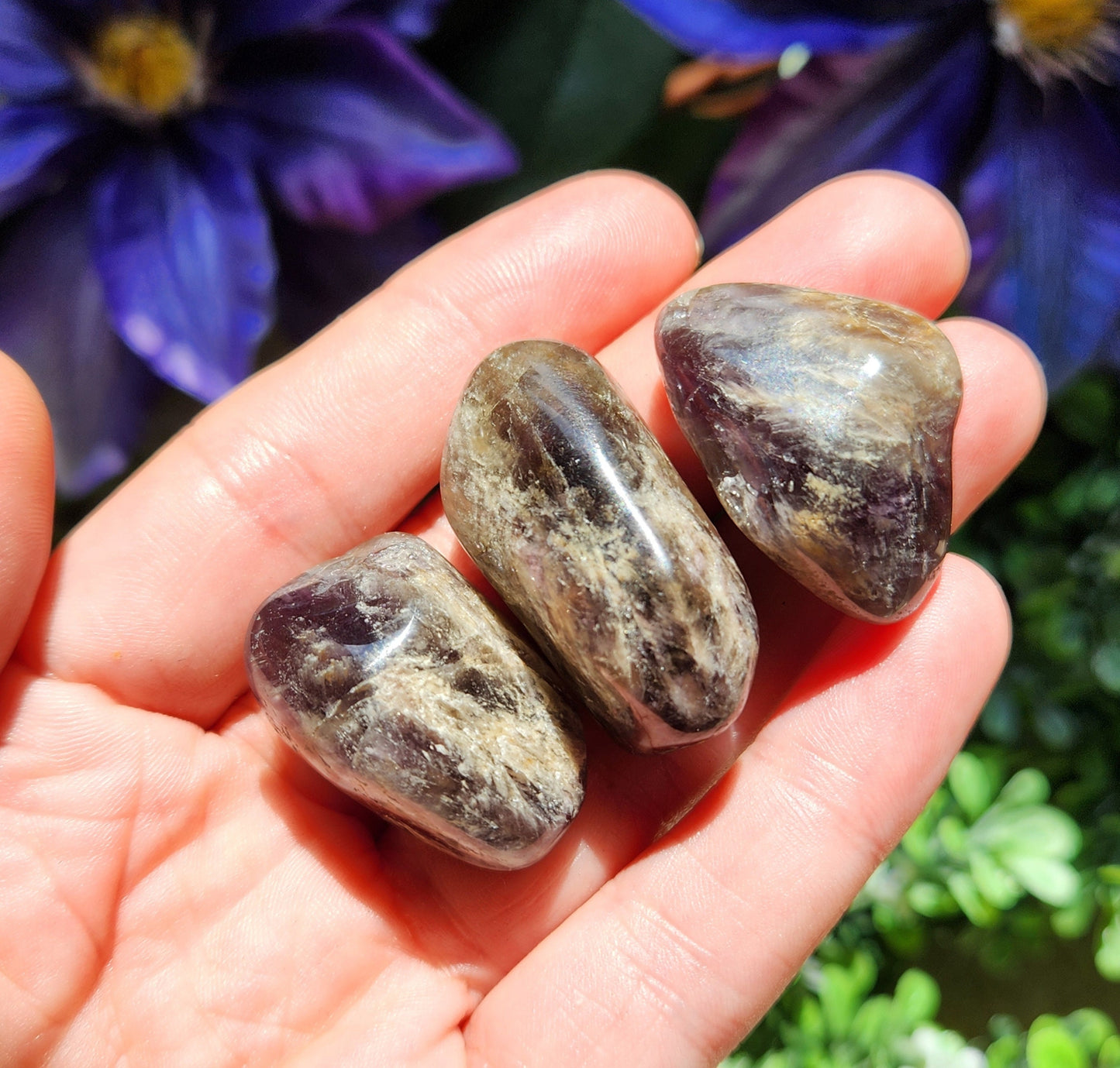 Black Amethyst Crystal