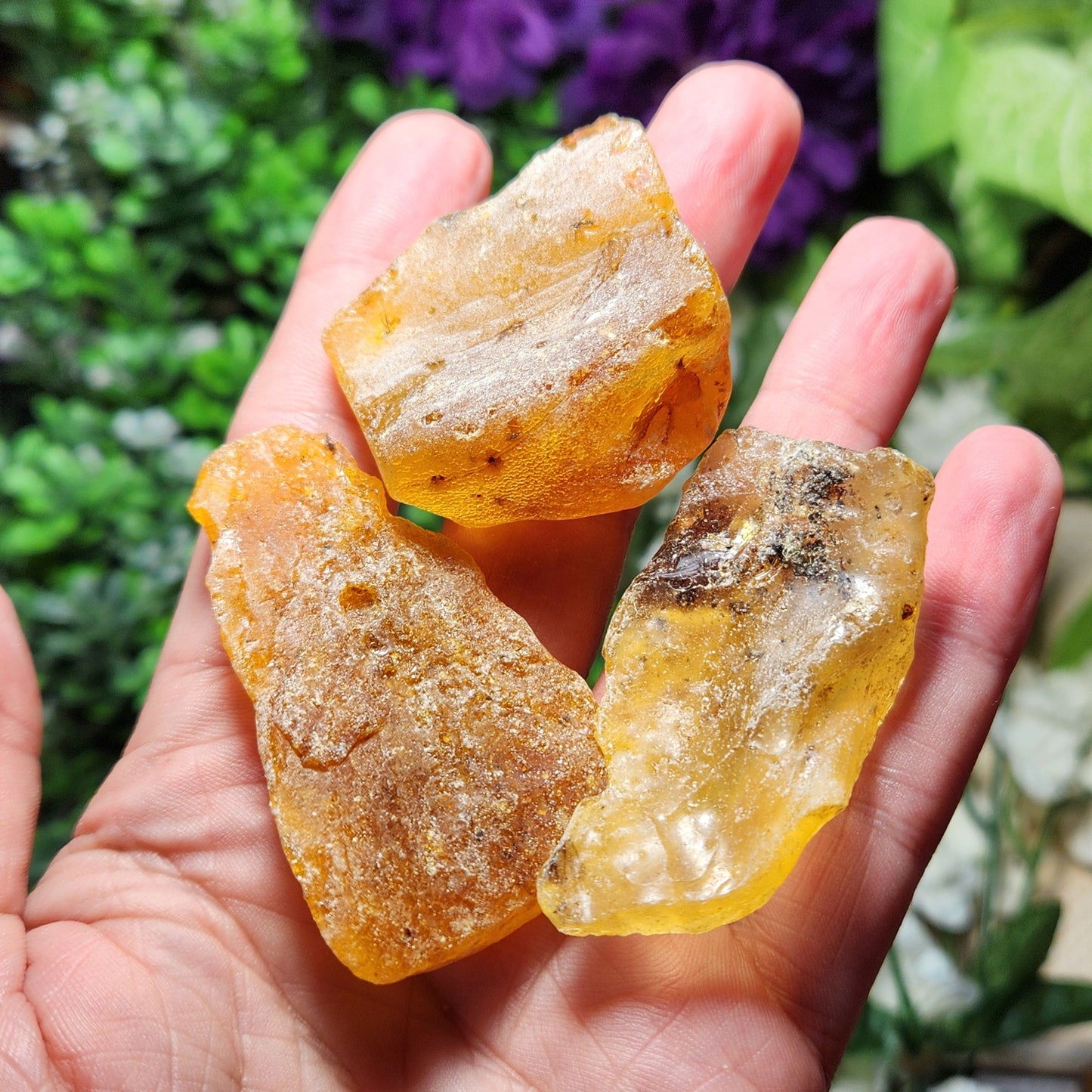 XL Natural Amber Specimen