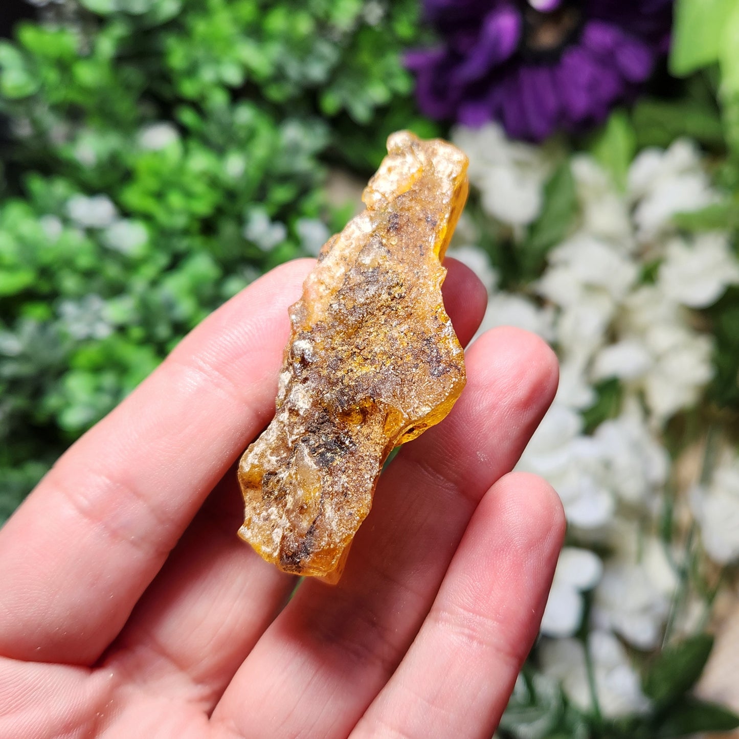 XL Natural Amber Specimen