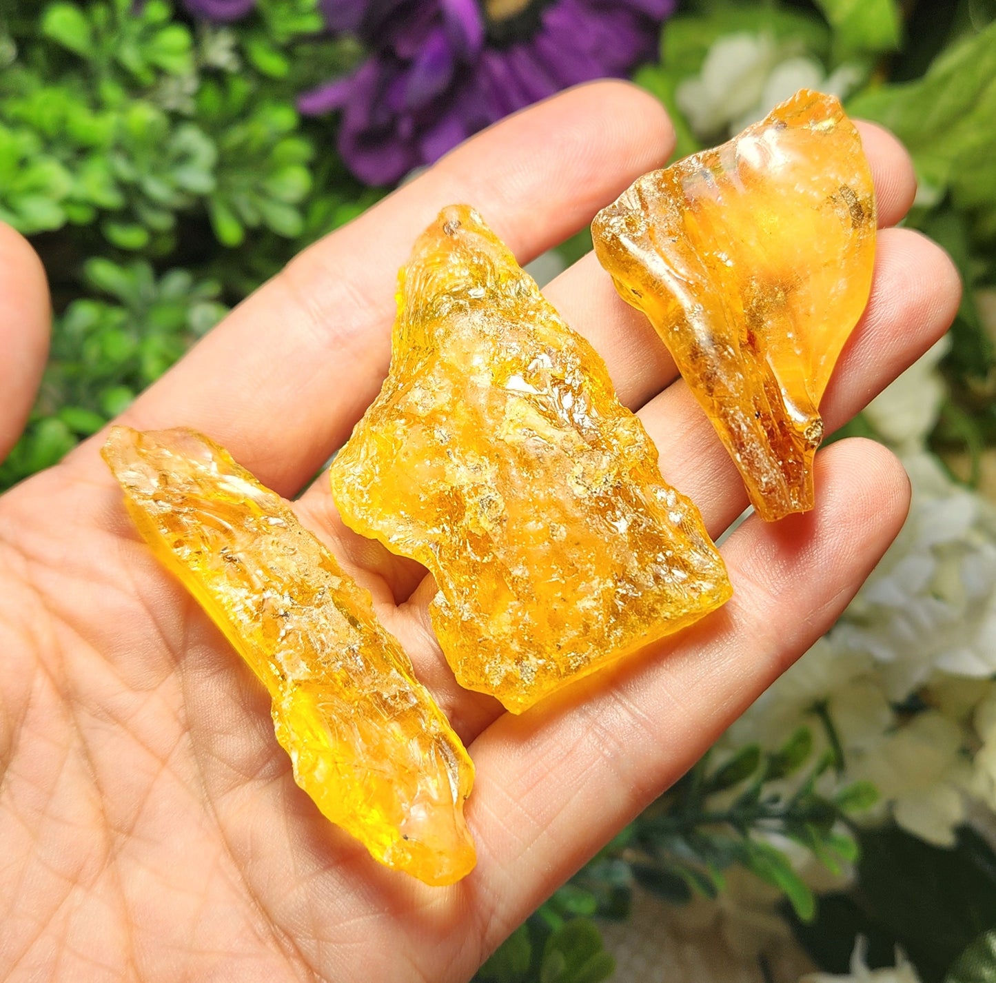 Amber with Insects