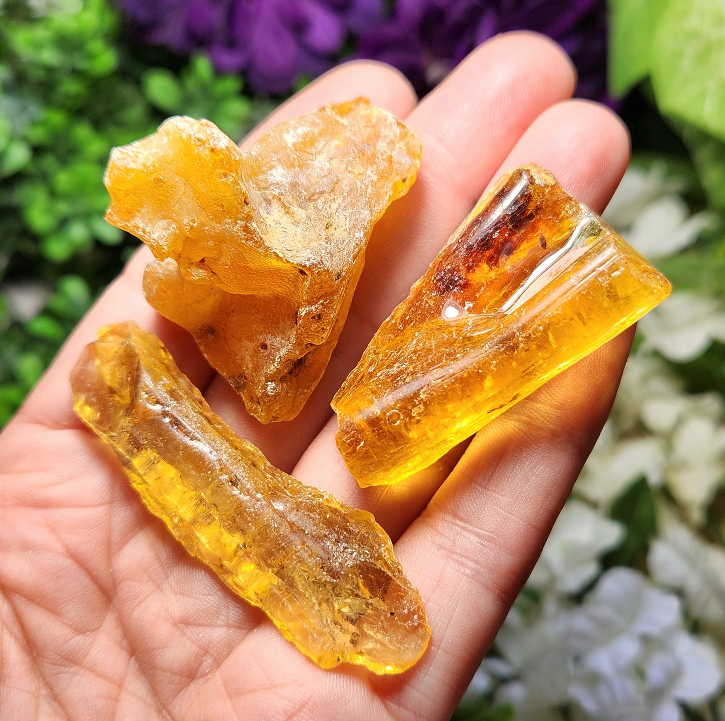 Amber with Insects