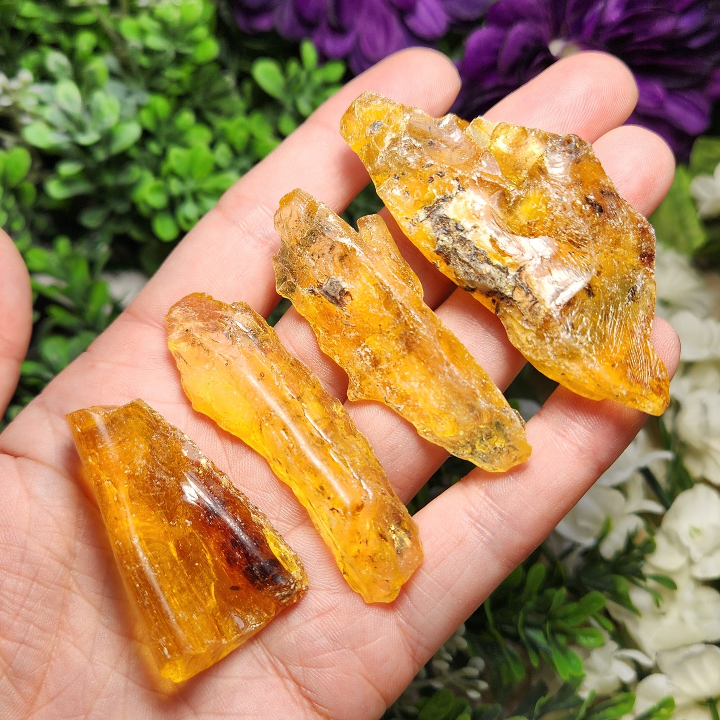 Amber with Insects