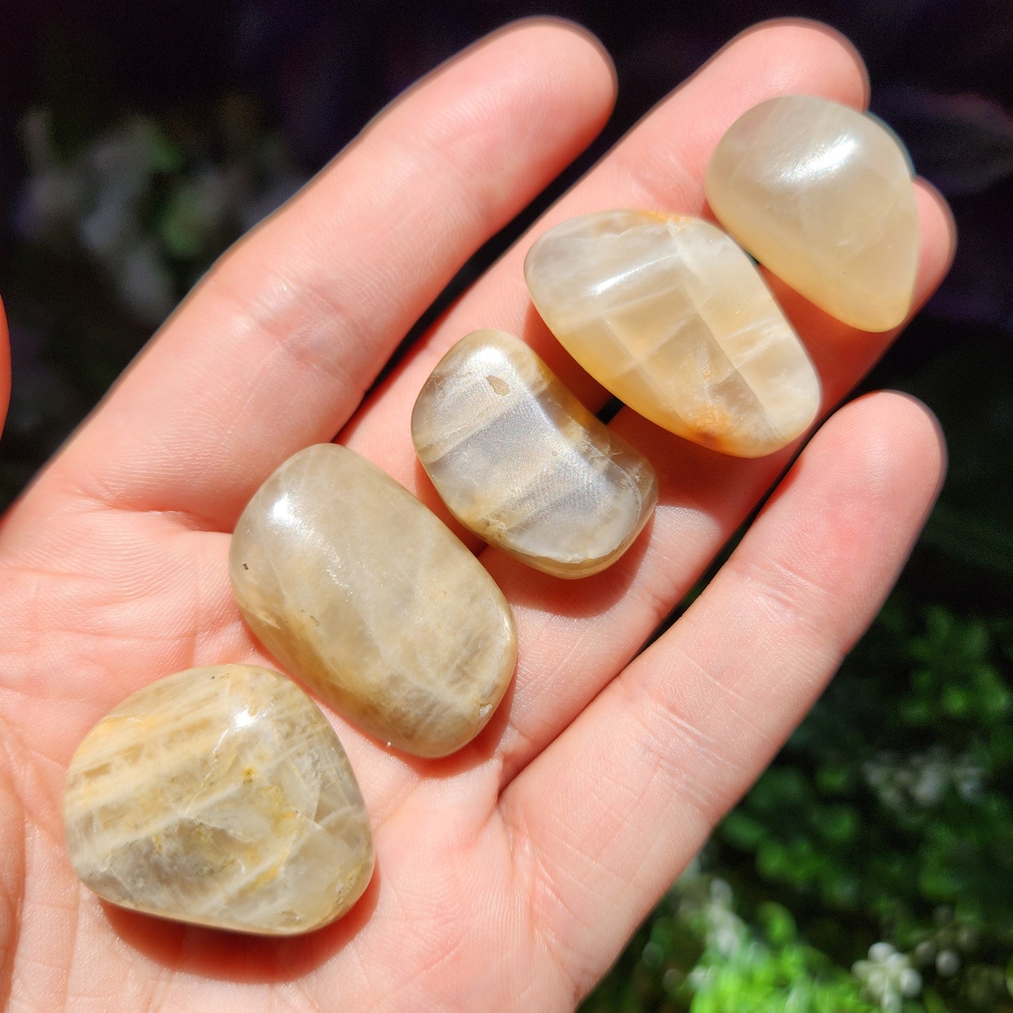 Peach Moonstone