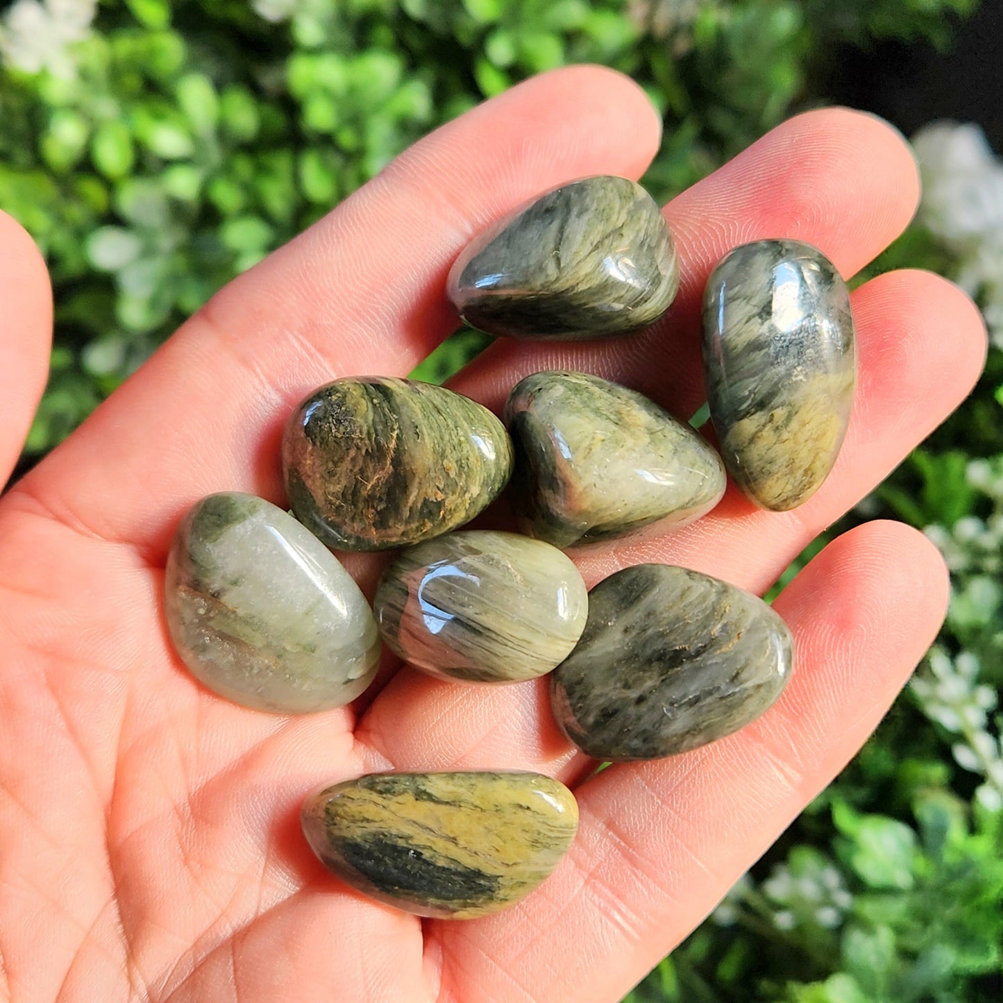 Silver Leaf Jasper Crystal