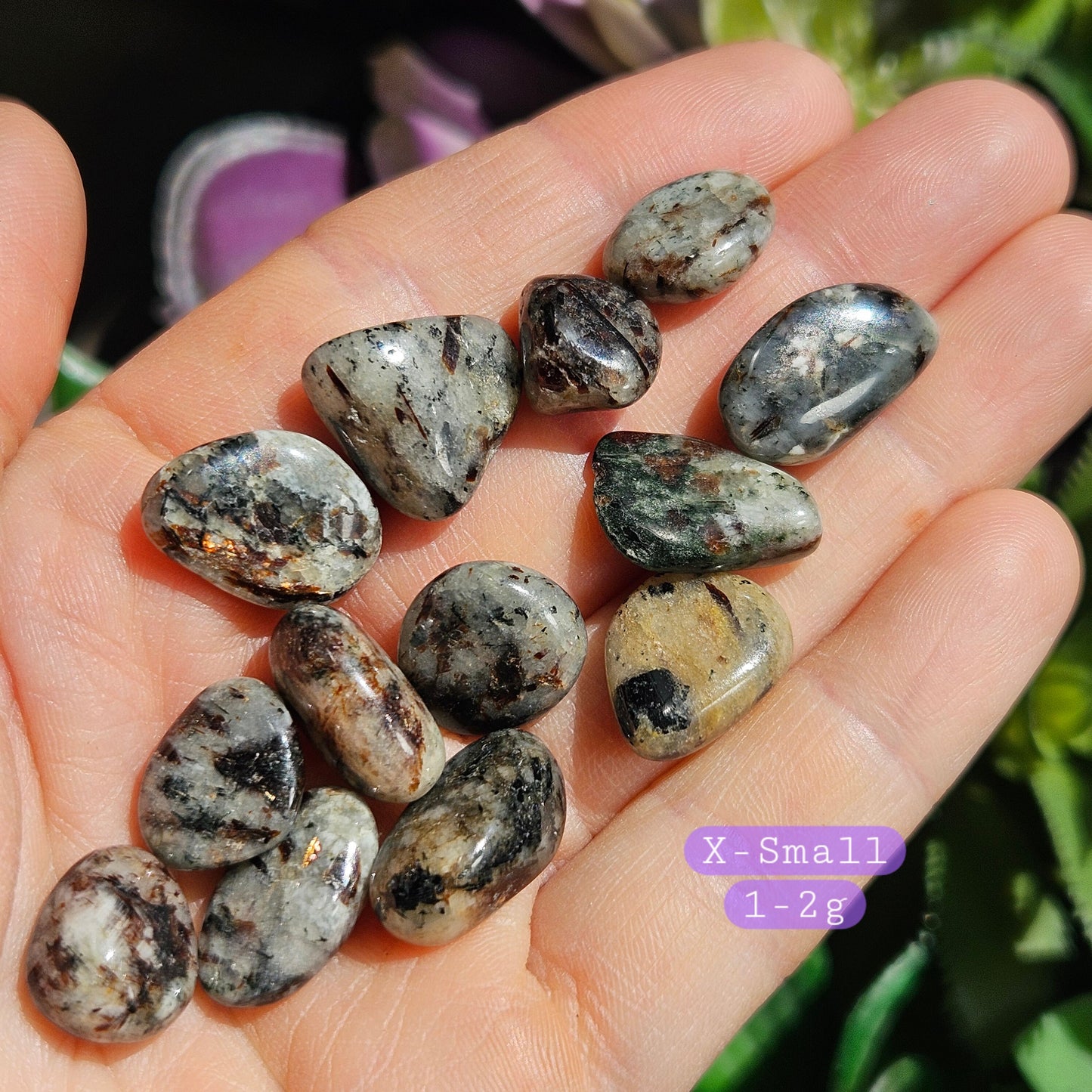 Astrophyllite Crystal