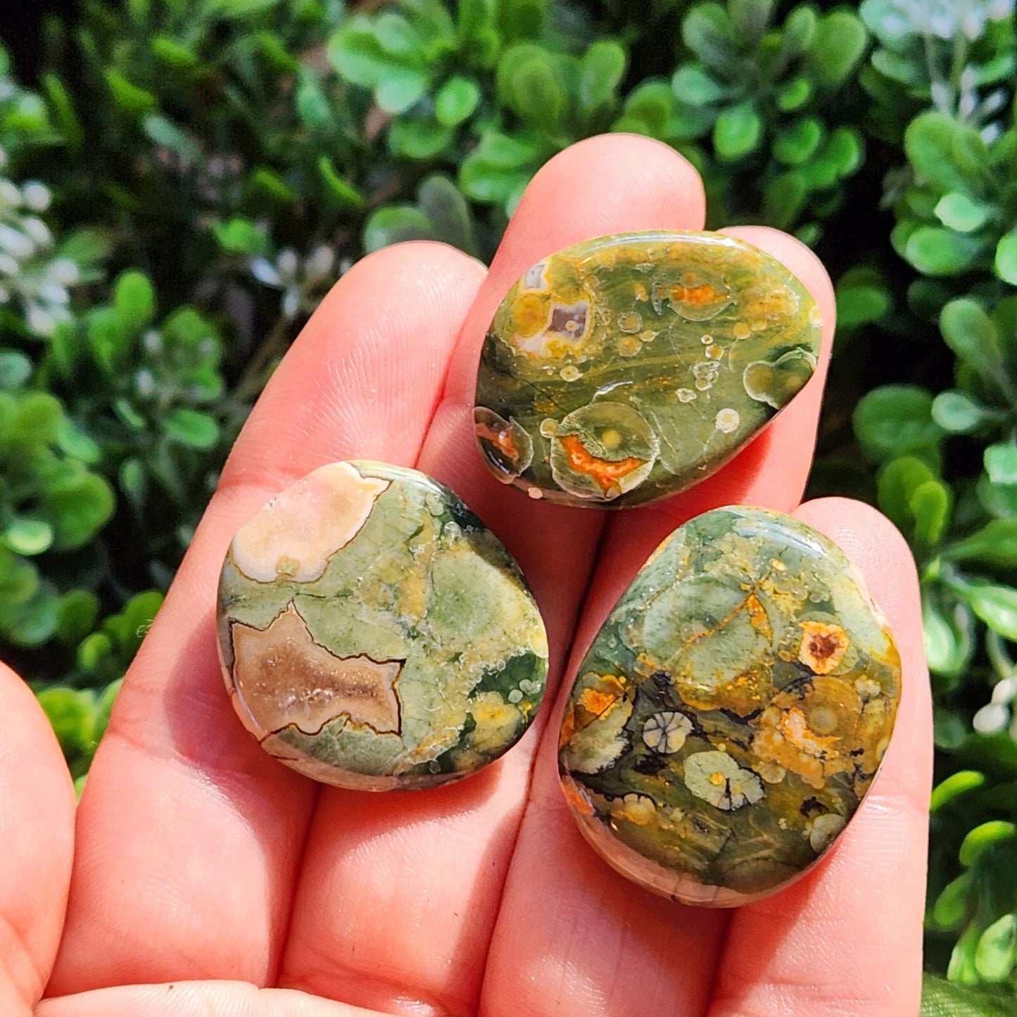 Rainforest Jasper Stone