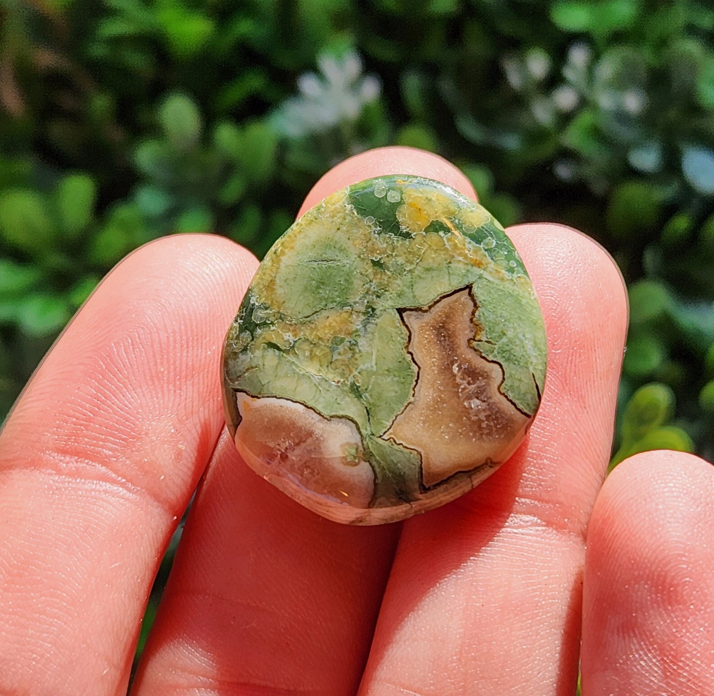 Rainforest Jasper Stone