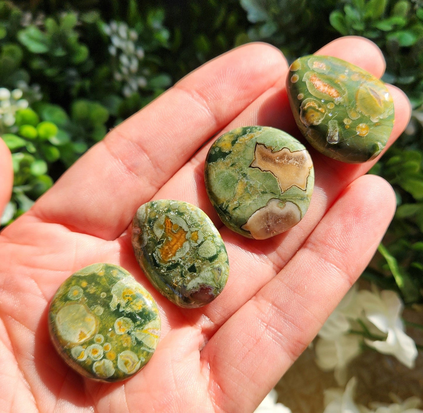 Rainforest Jasper Stone