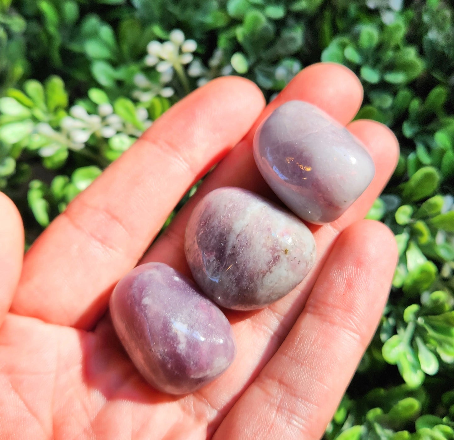 Unicorn Stone