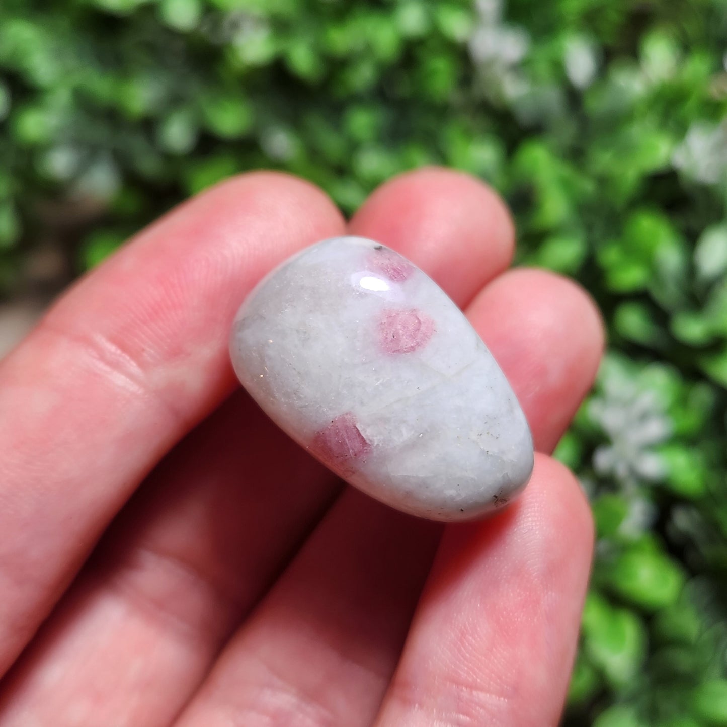 Unicorn Stone