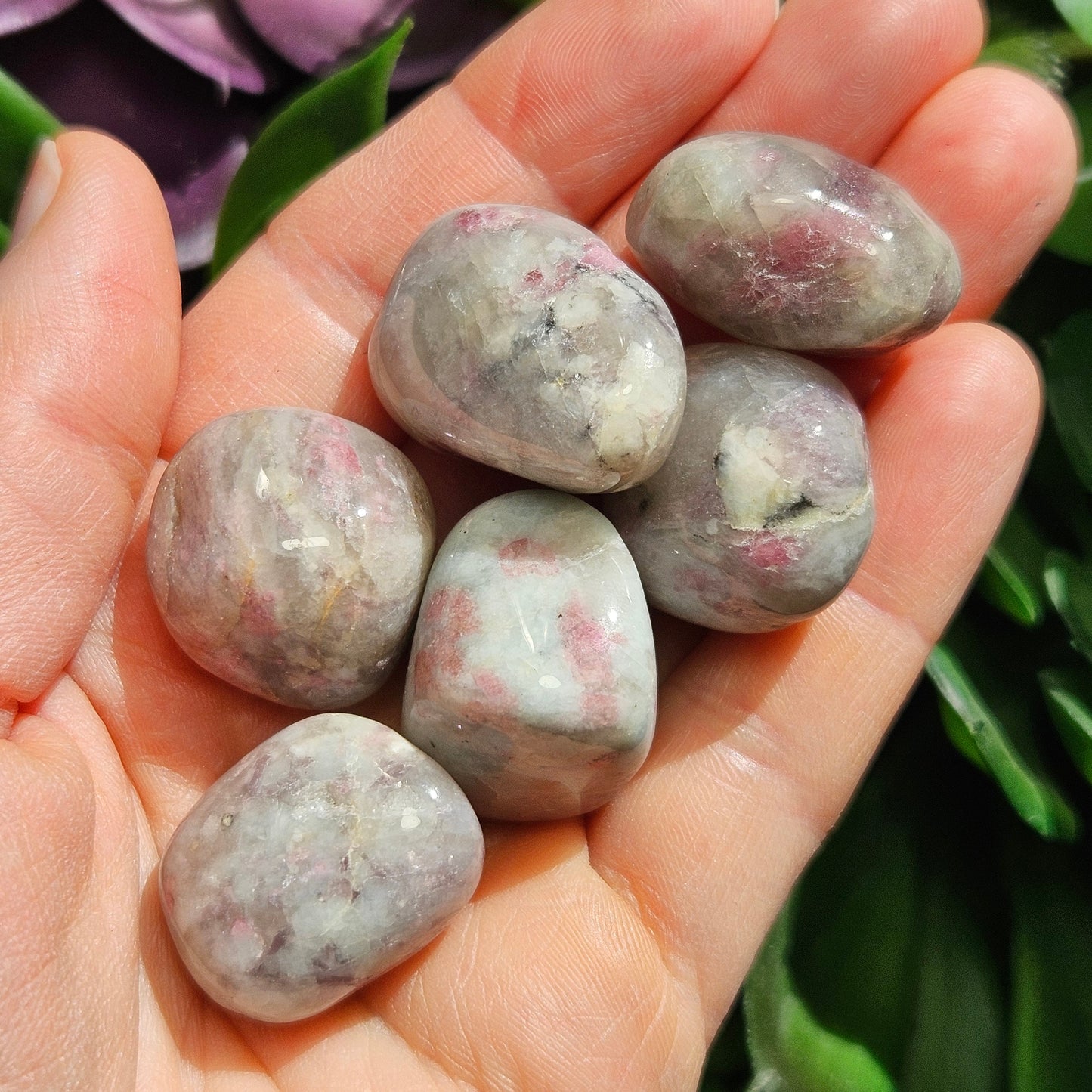Unicorn Stone