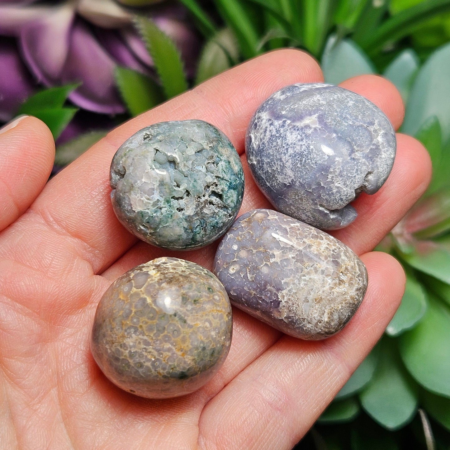Grape Agate MISFITS