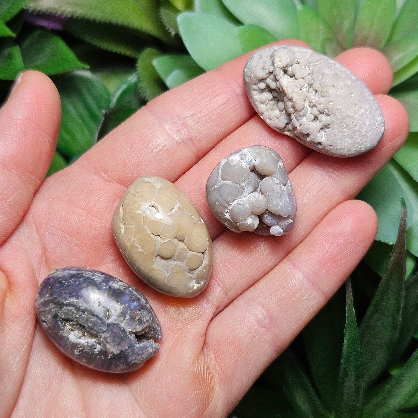 Grape Agate MISFITS