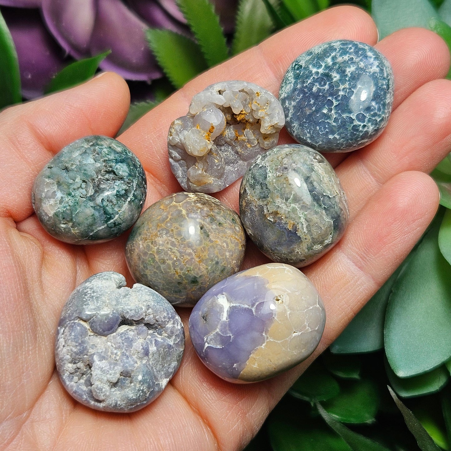 Grape Agate MISFITS
