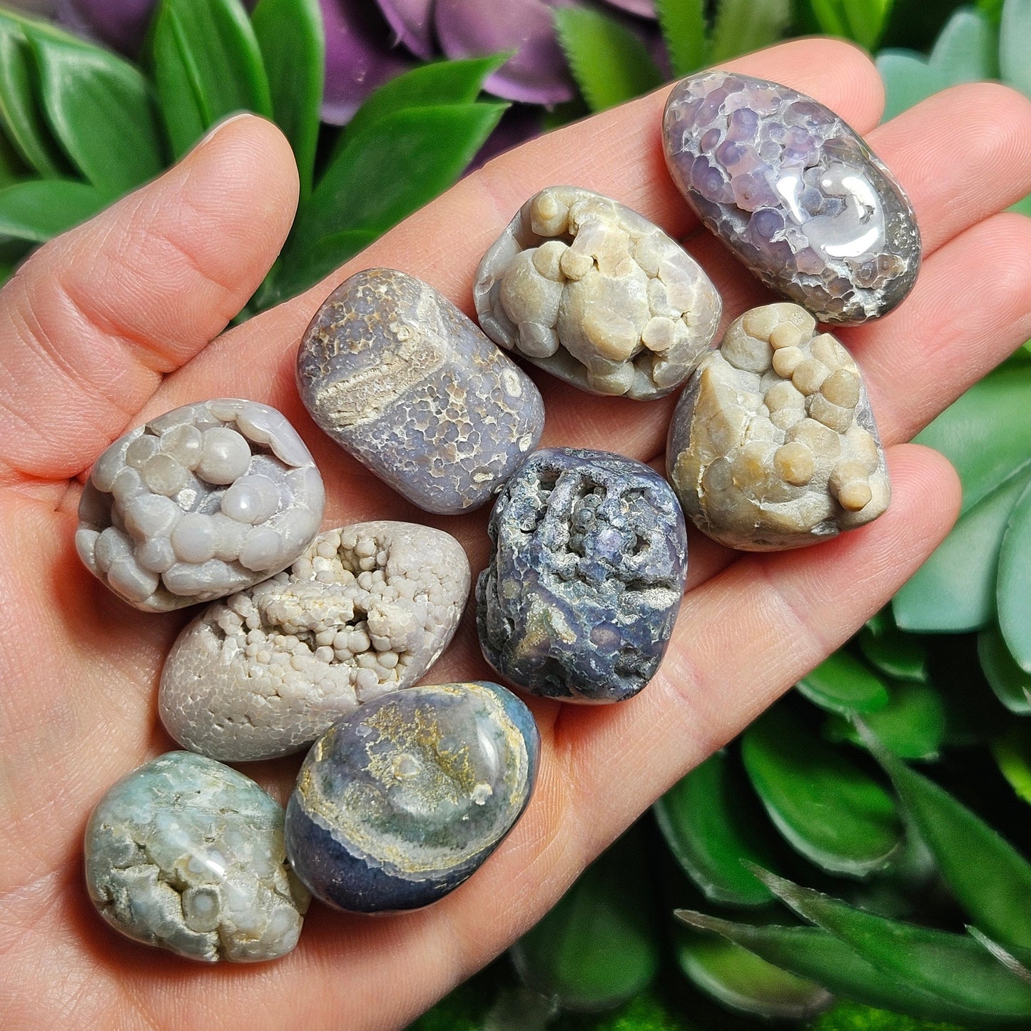 Grape Agate MISFITS