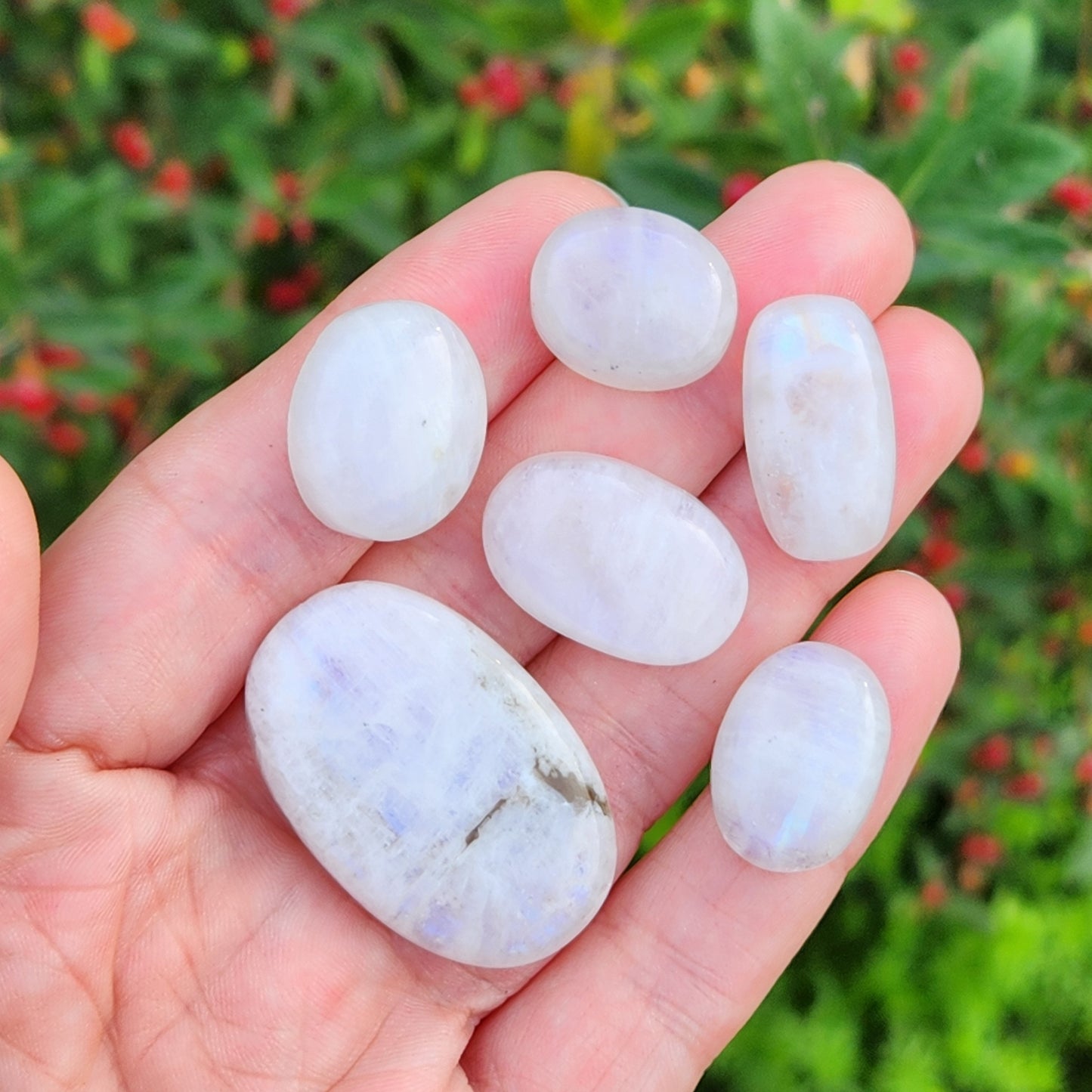 Rainbow Moonstone