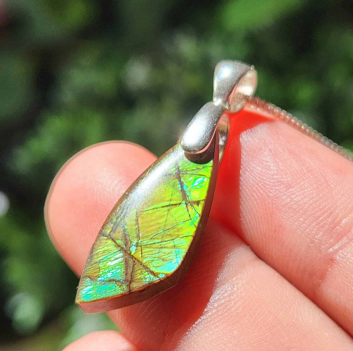 Ammolite Pendant