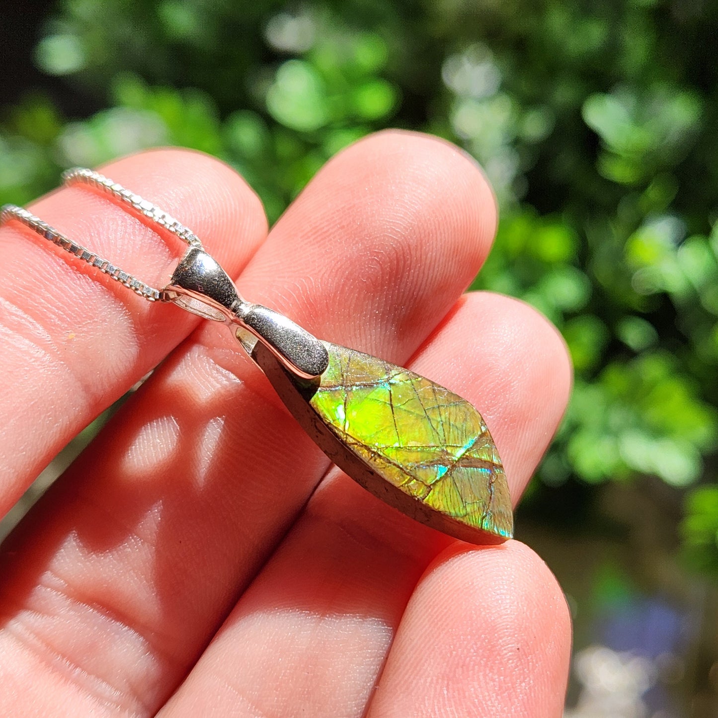 Ammolite Pendant