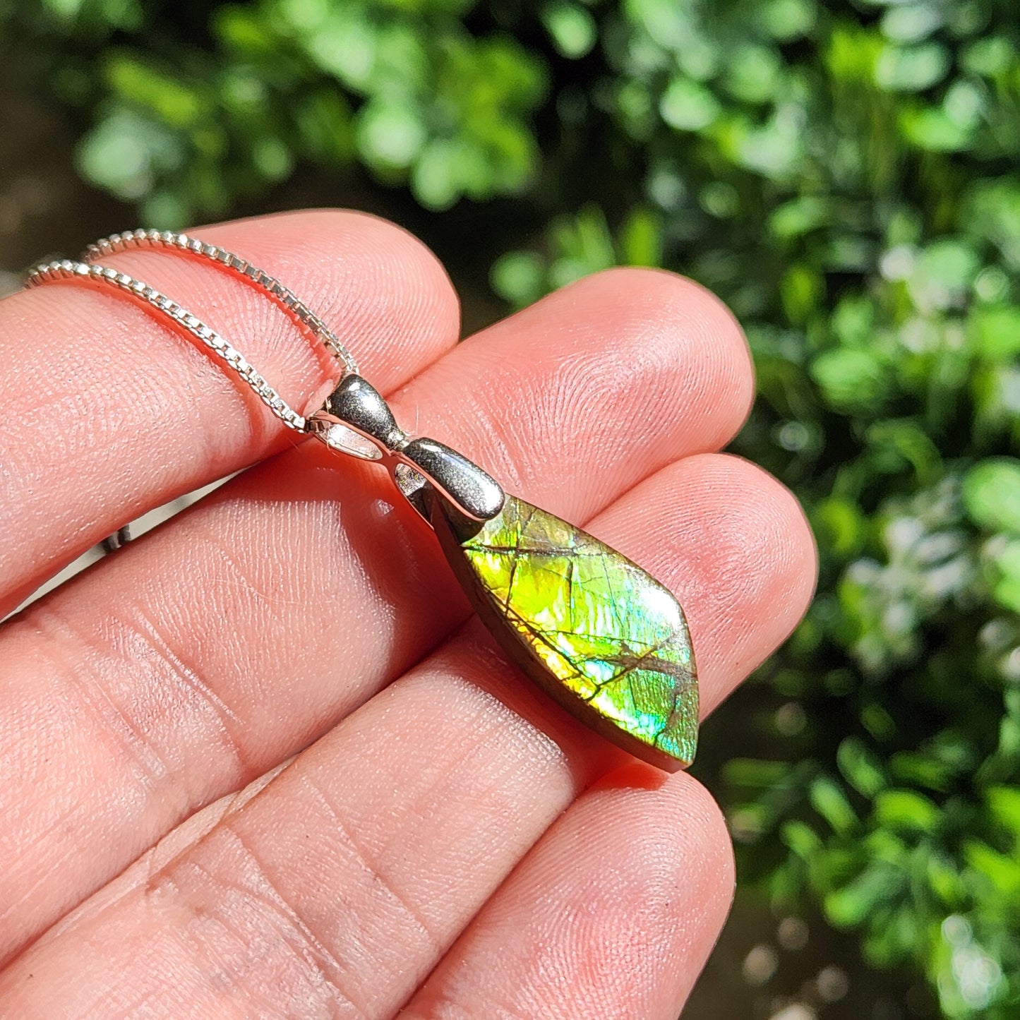 Ammolite Pendant