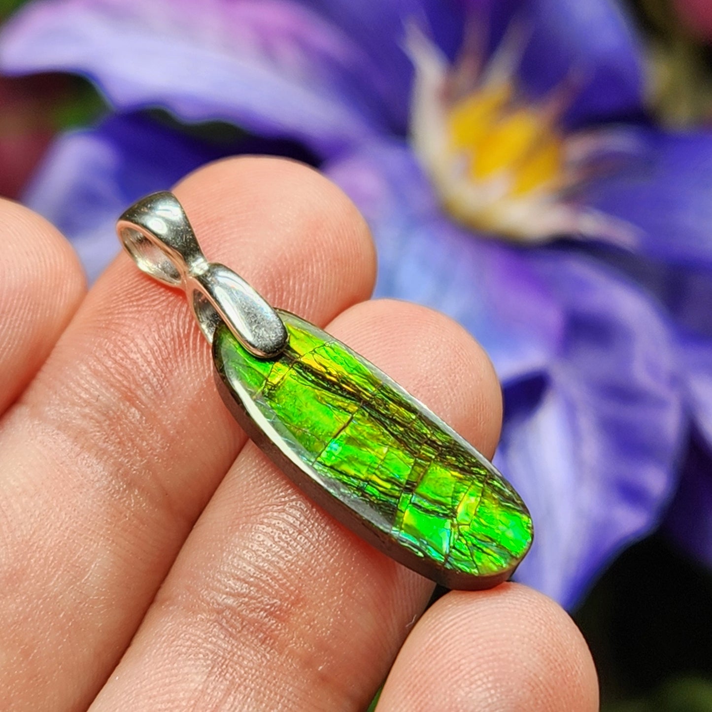 Ammolite Pendant