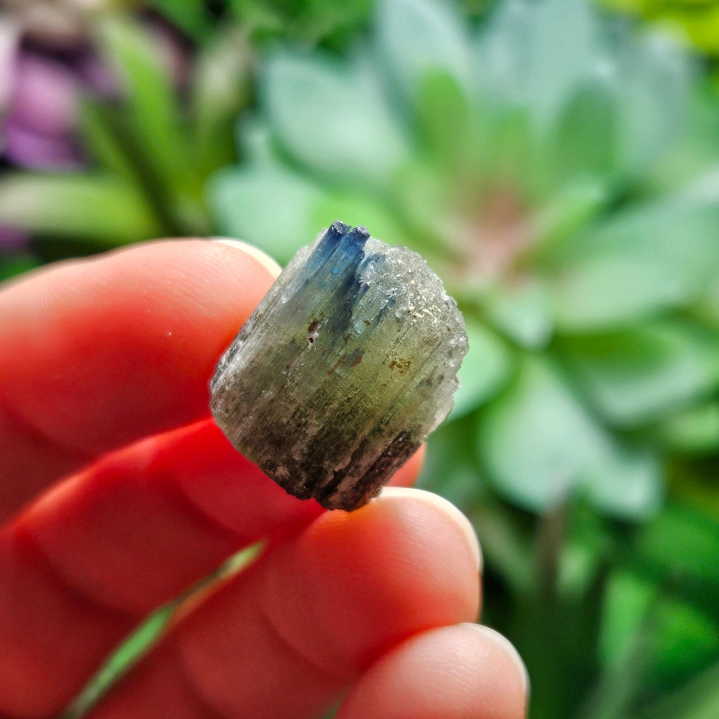 Blue Cap Tourmaline