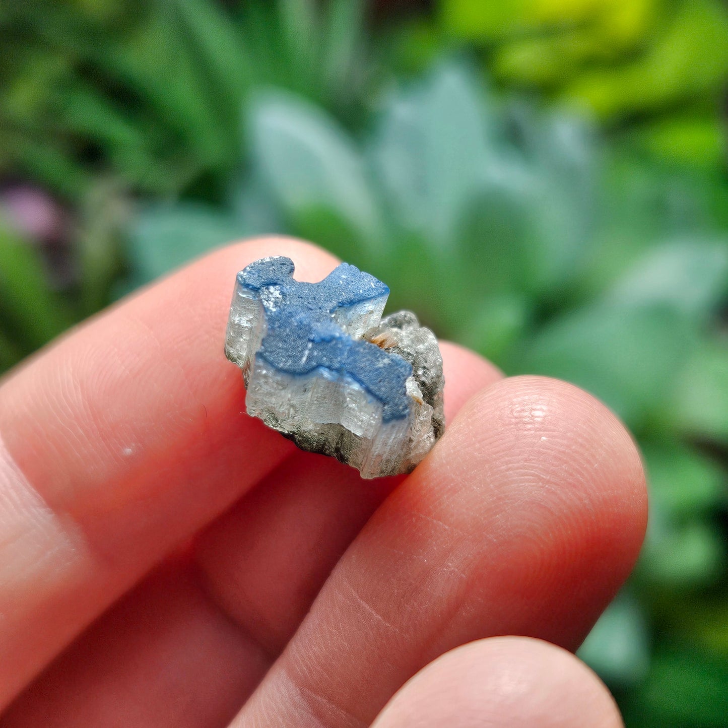 Blue Cap Tourmaline