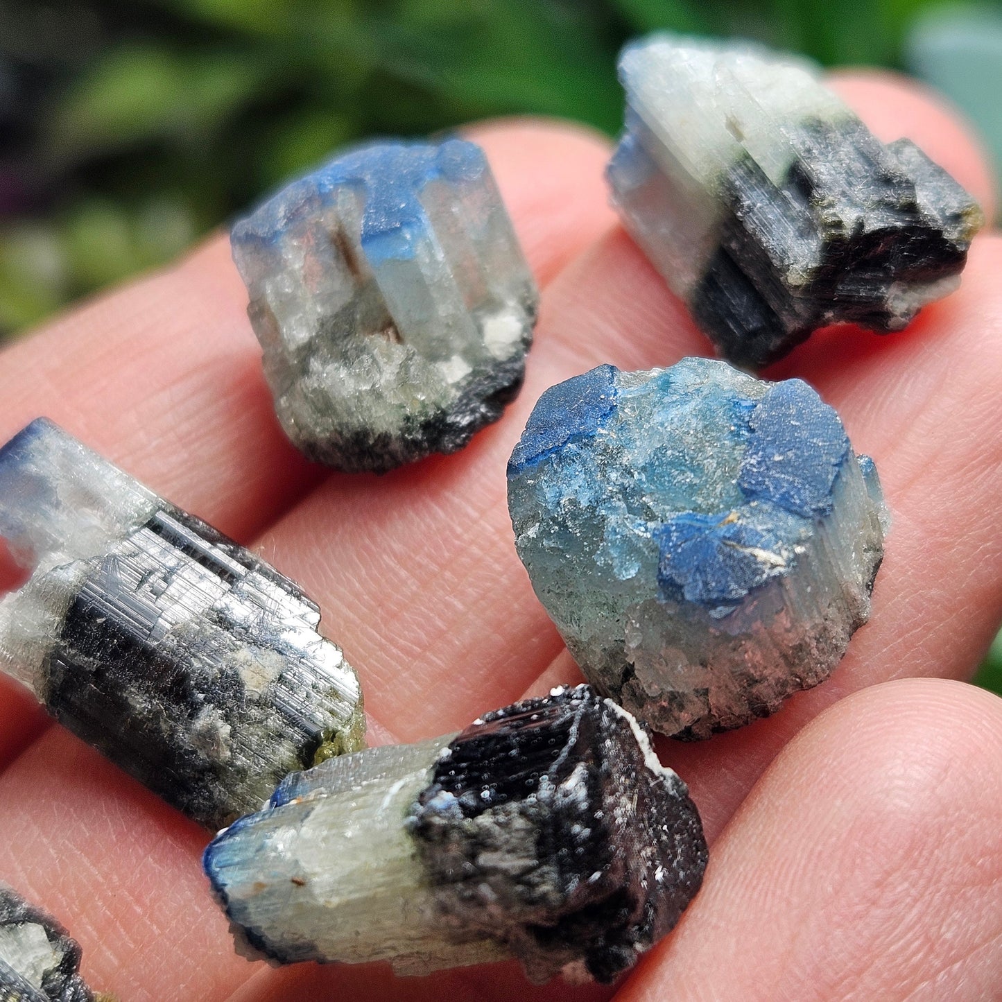 Blue Cap Tourmaline