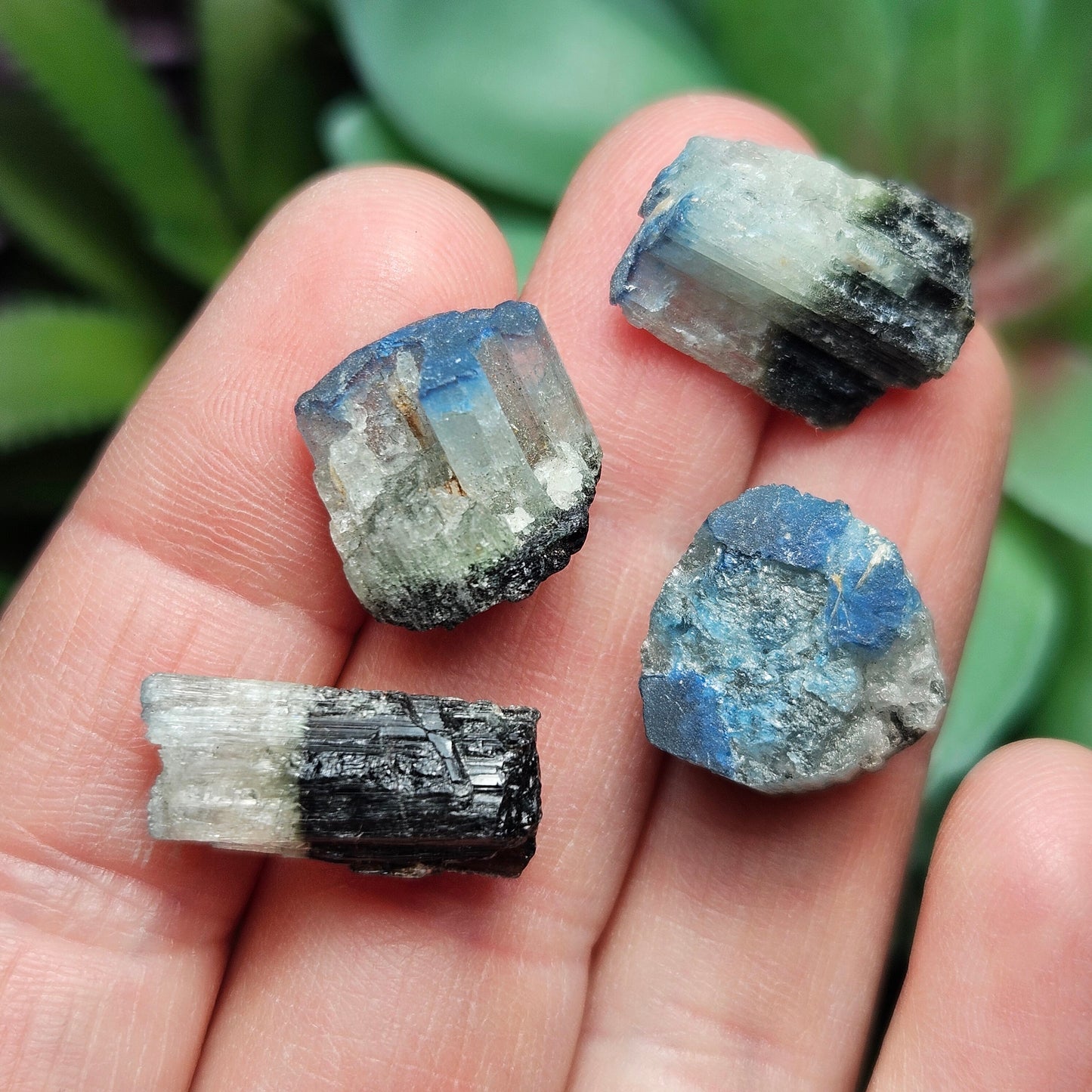 Blue Cap Tourmaline