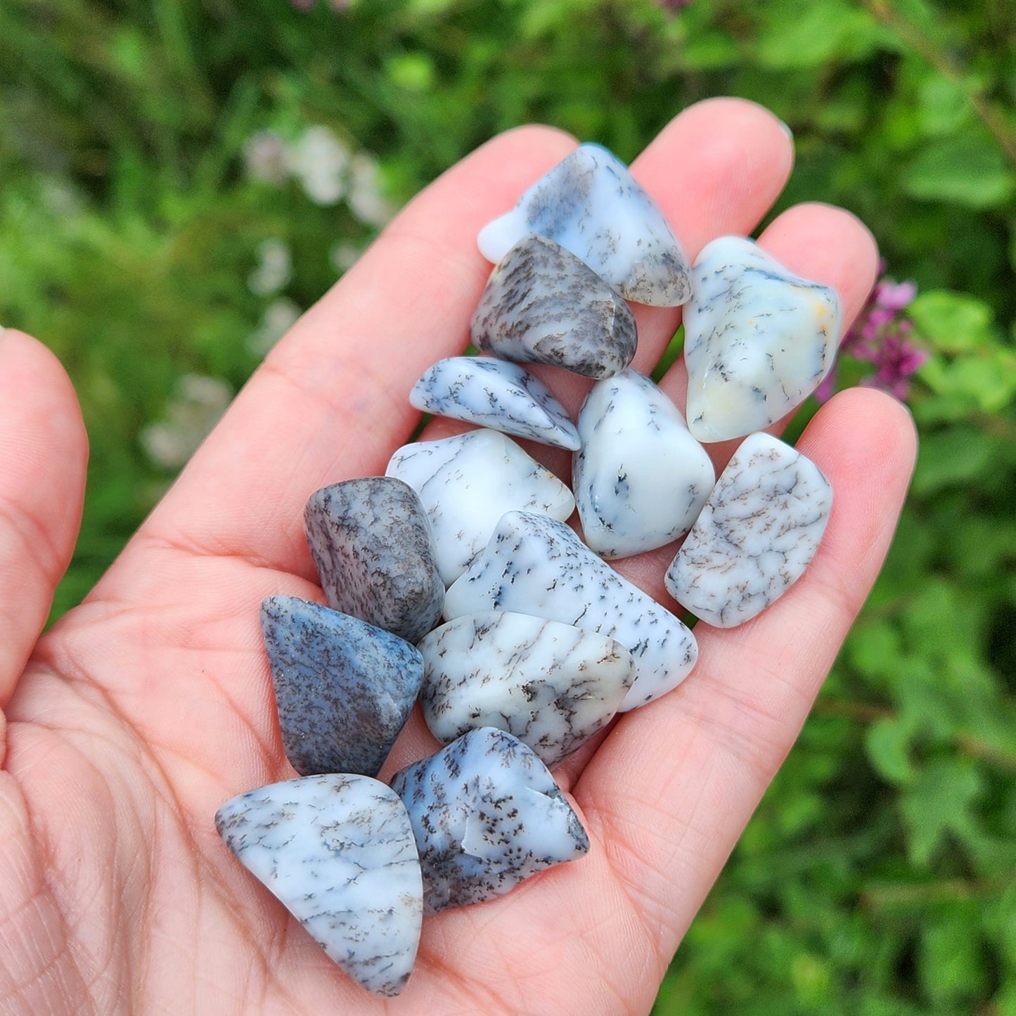 Dendritic Opal Crystal