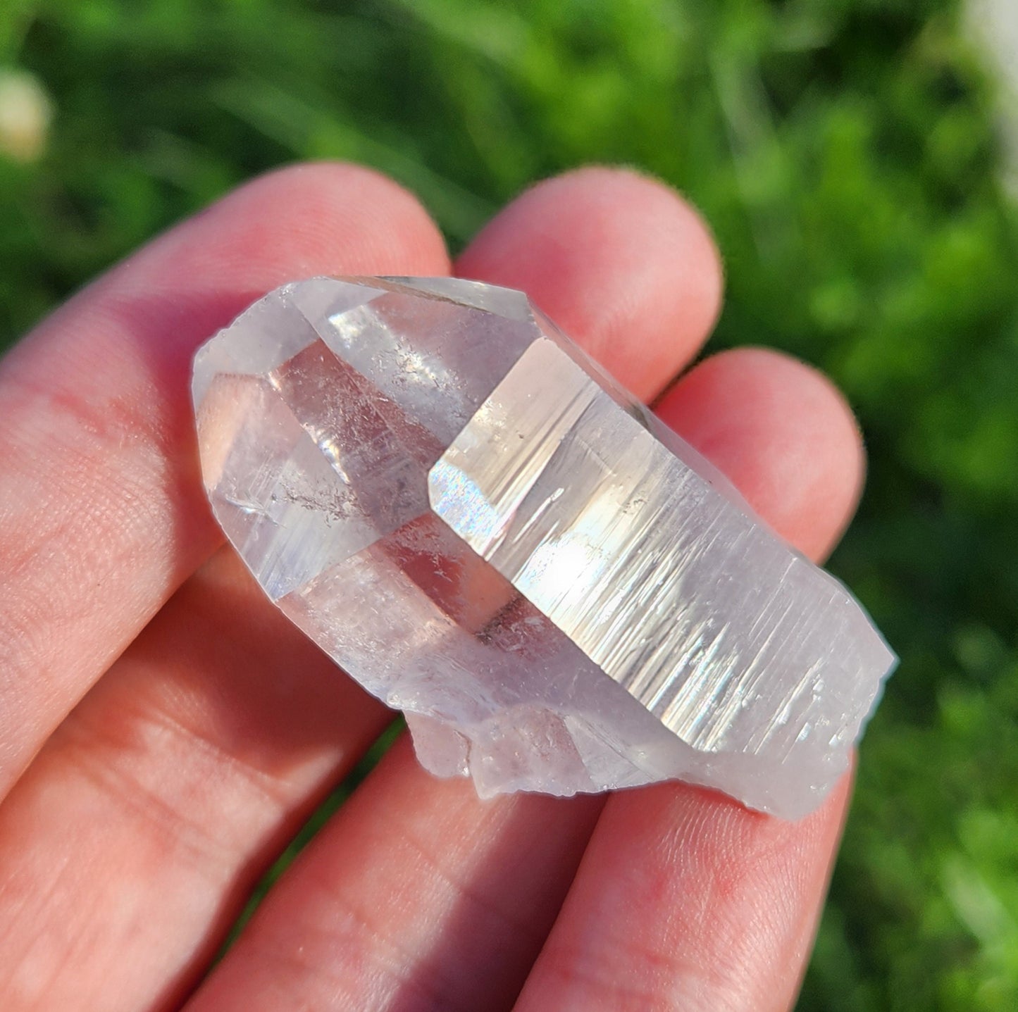 Lemurian Seed Quartz
