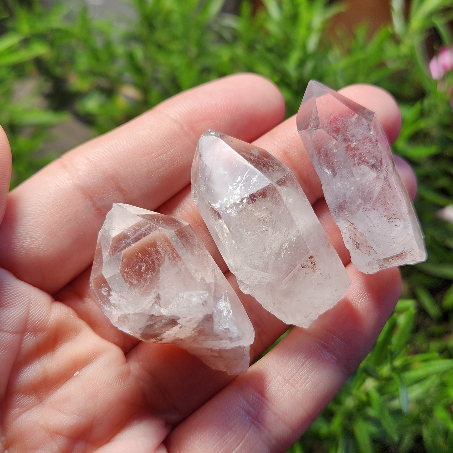 Lemurian Seed Quartz