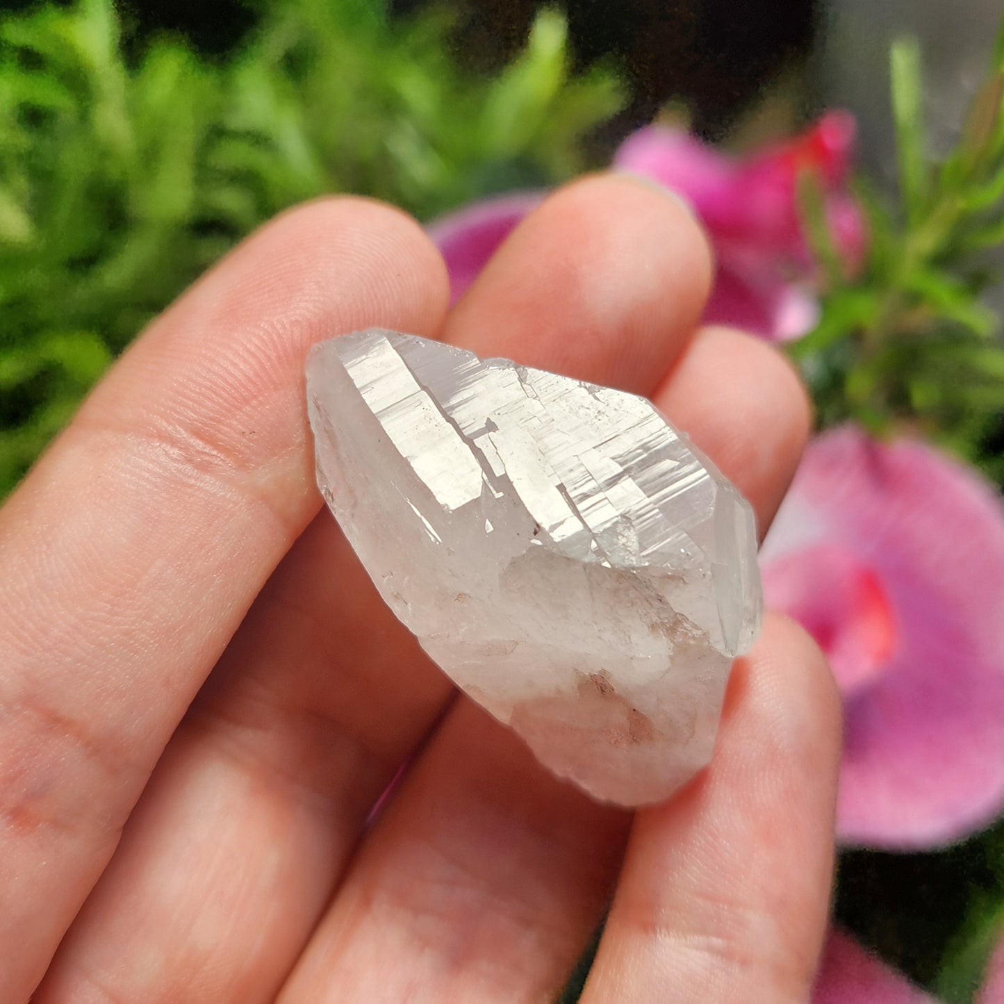 Lemurian Seed Quartz