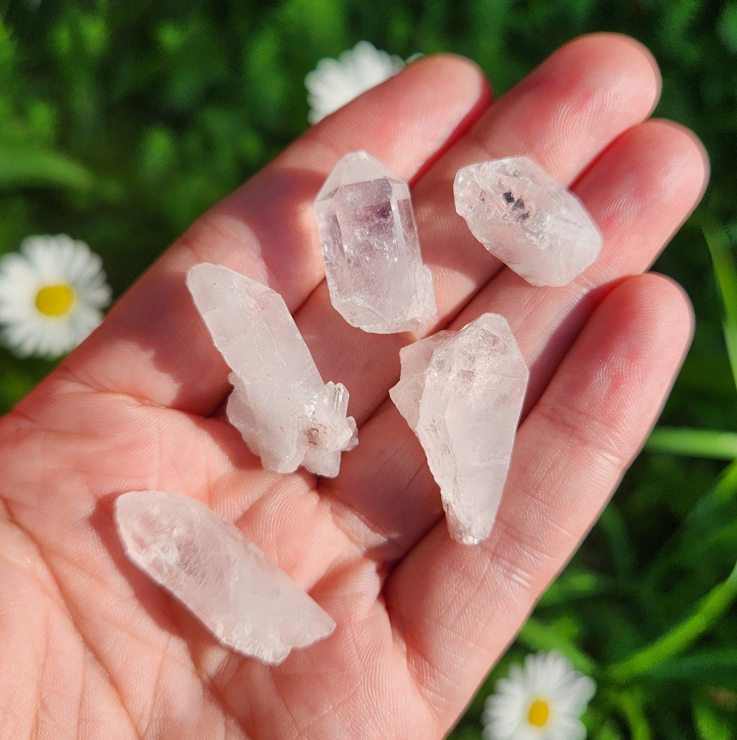 Lemurian Seed Crystal