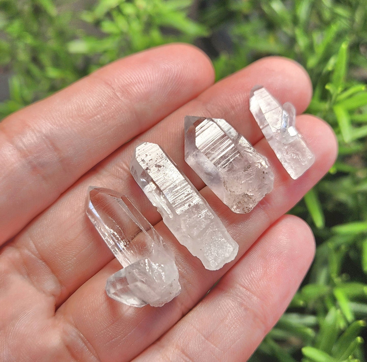 Lemurian Seed Crystal