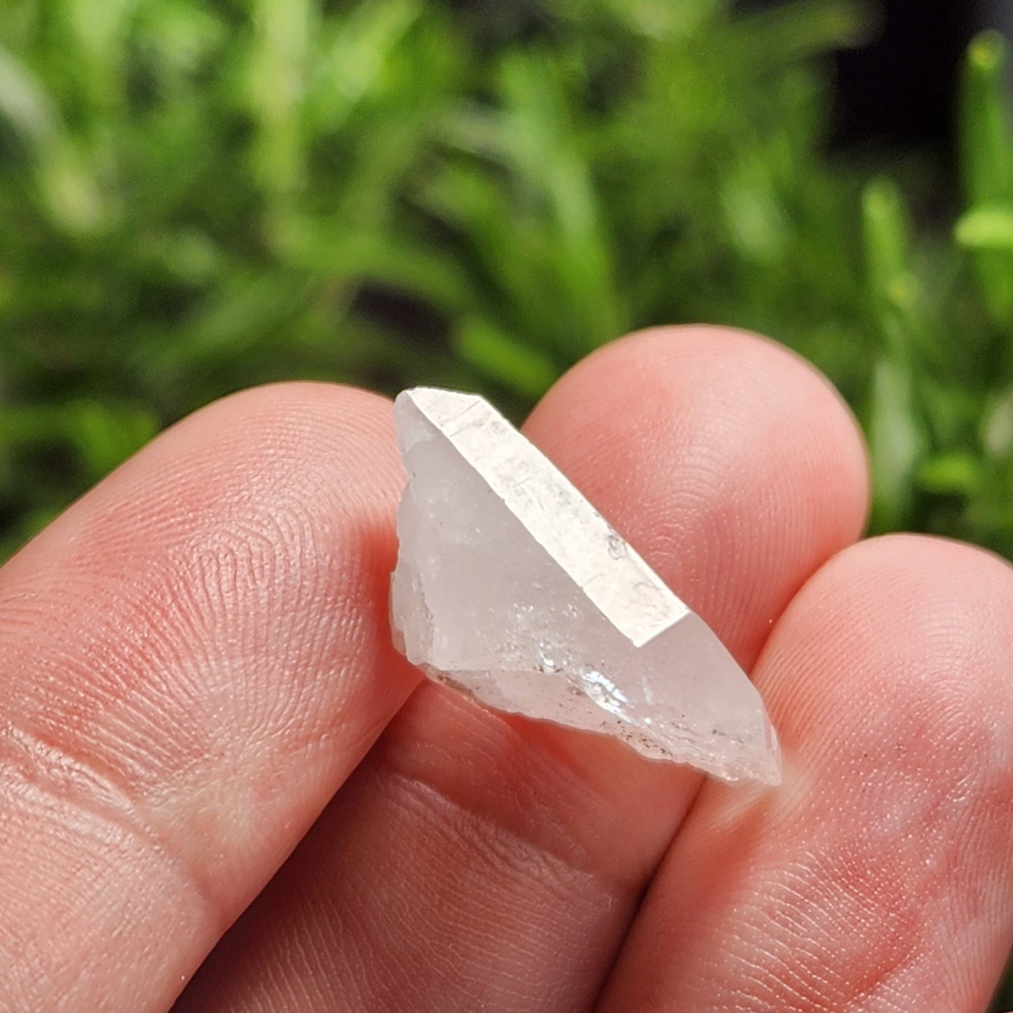 Lemurian Seed Crystal