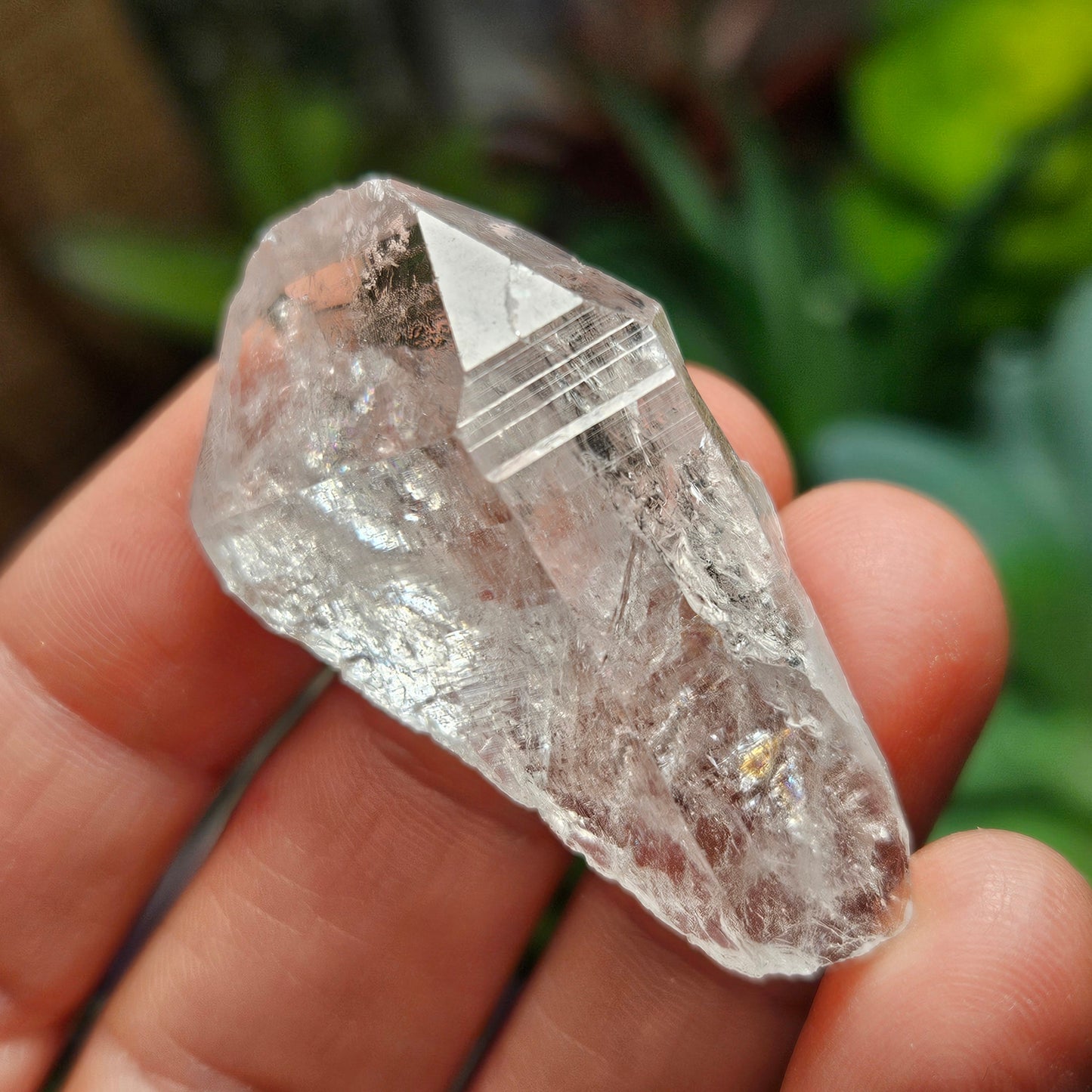 Lemurian Seed Quartz