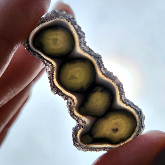 Amethyst Stalactite Slice