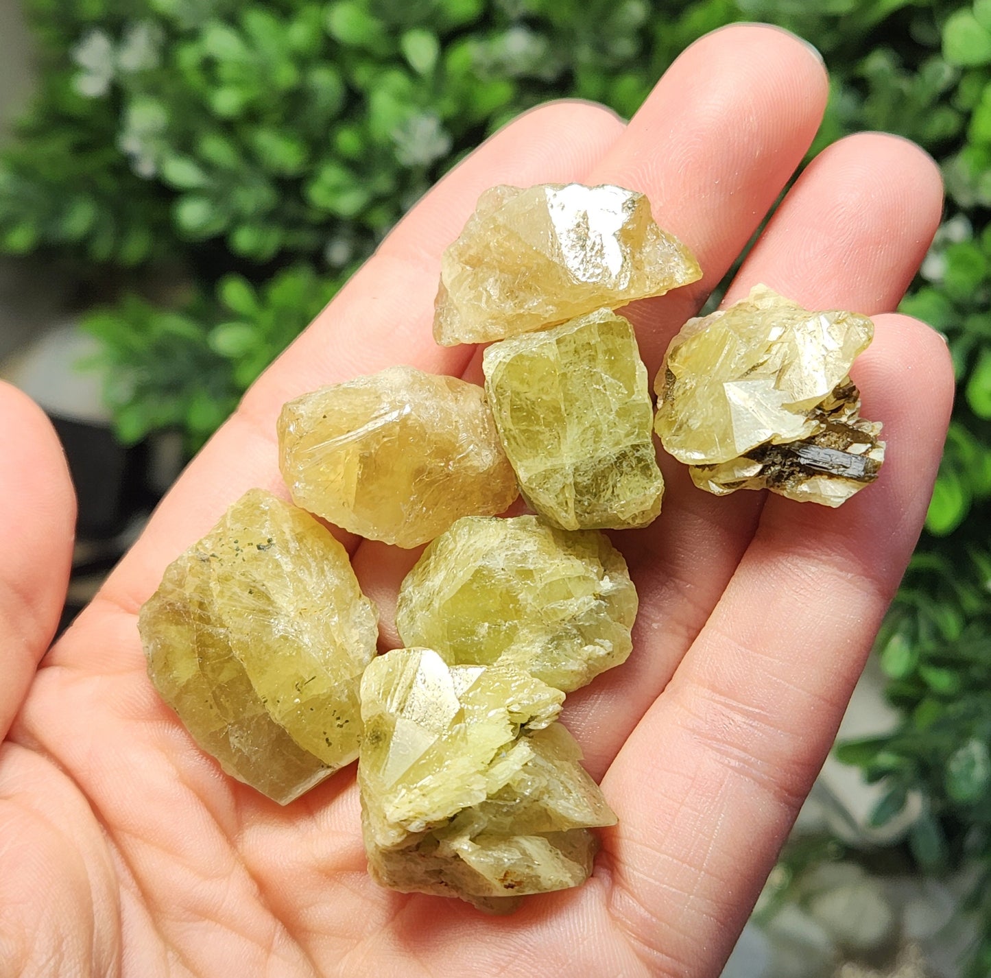 Titanite Crystal