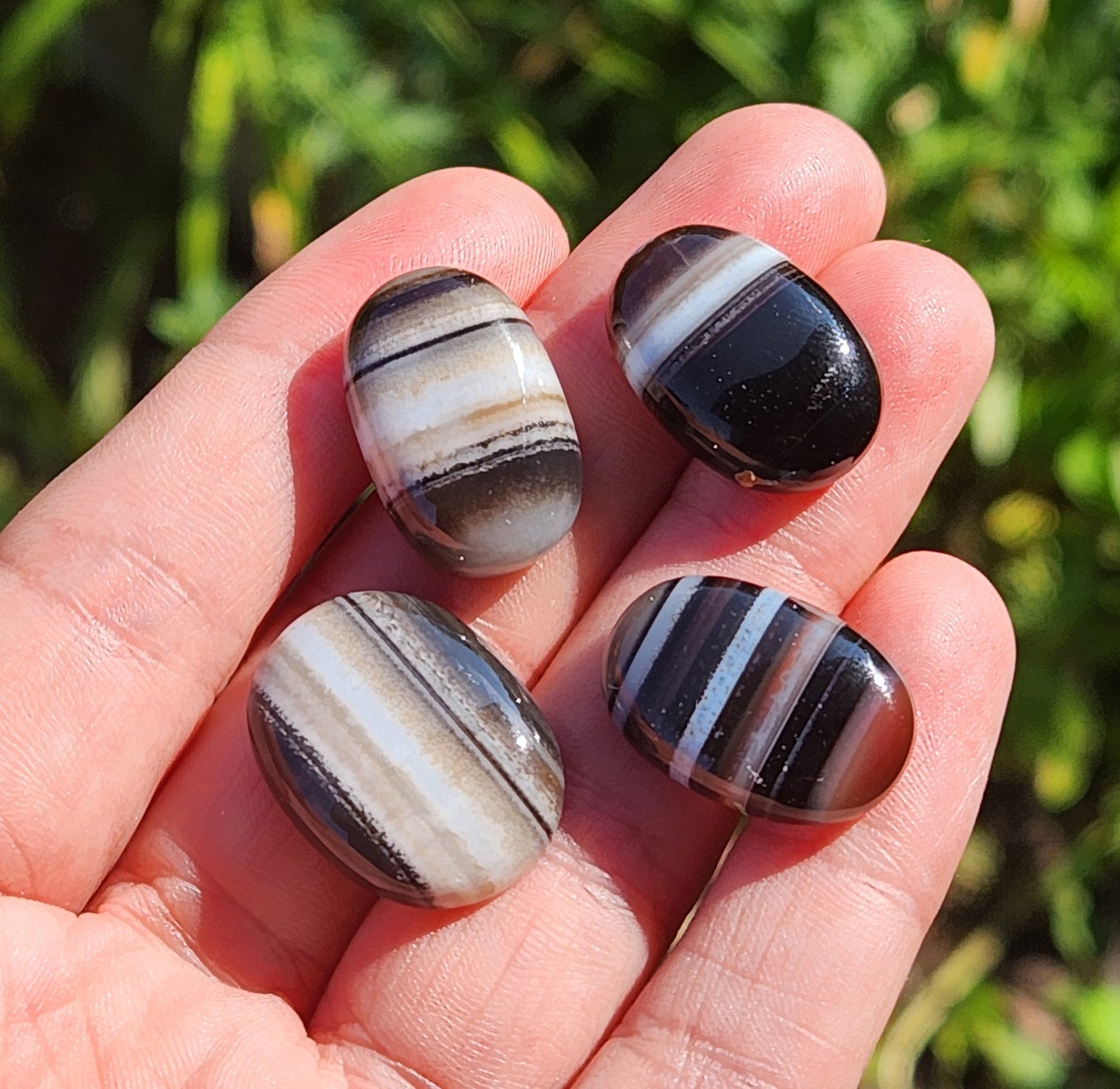 Black Striped Agate