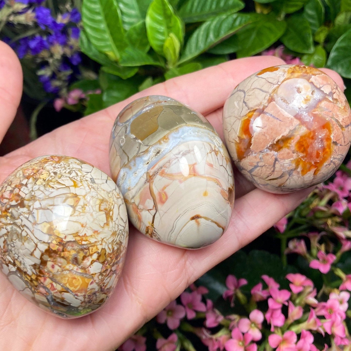 Ibis Jasper Crystal