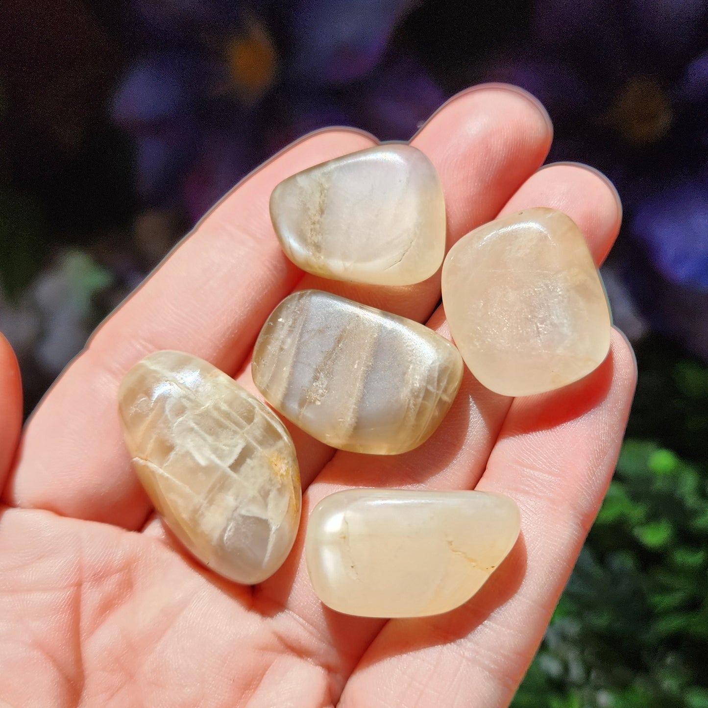 Peach Moonstone