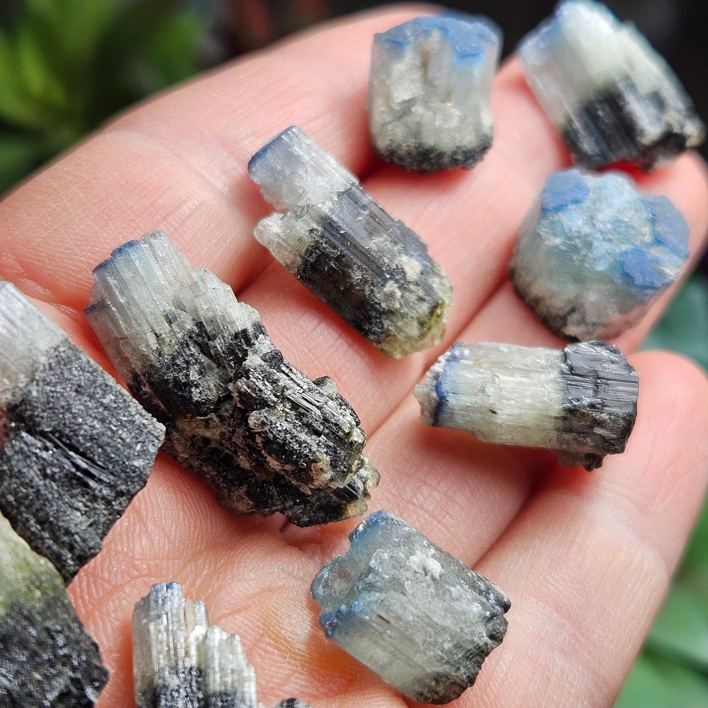 Blue Cap Tourmaline