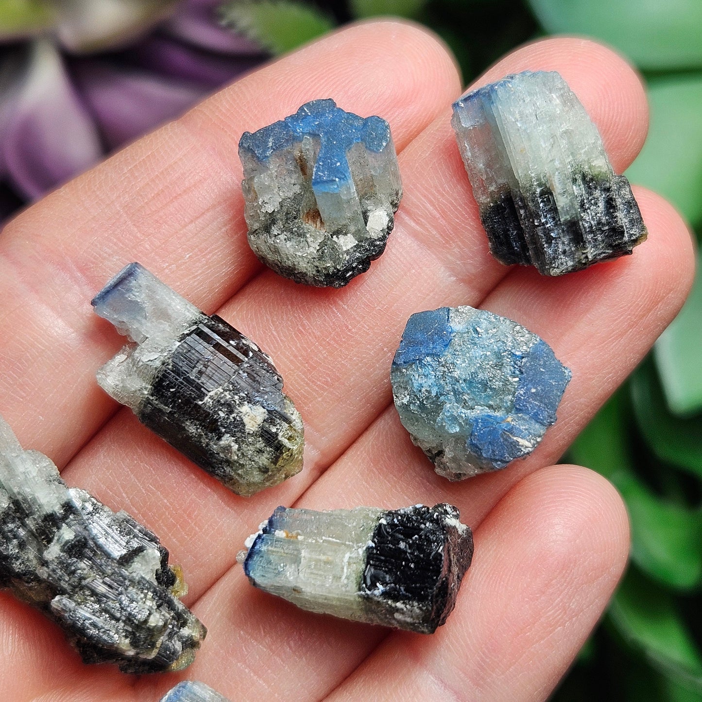 Blue Cap Tourmaline