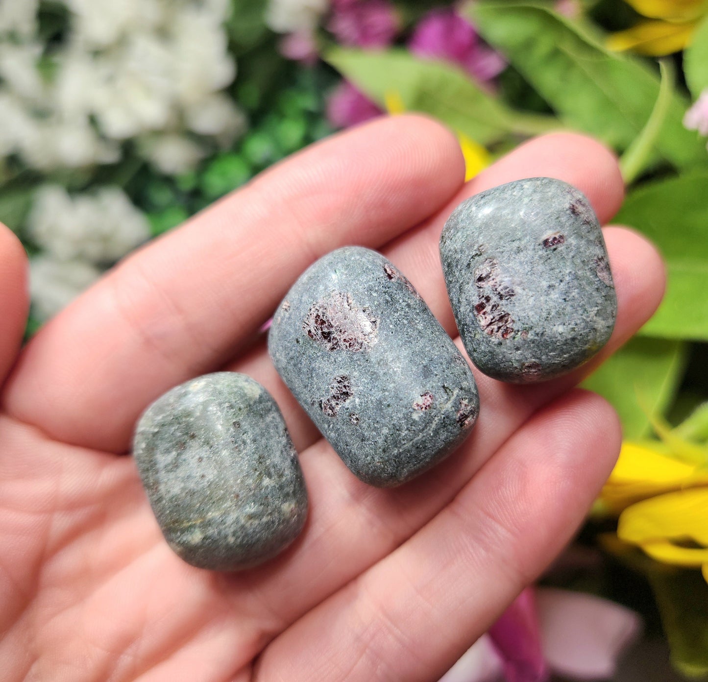 Anyolite Stone