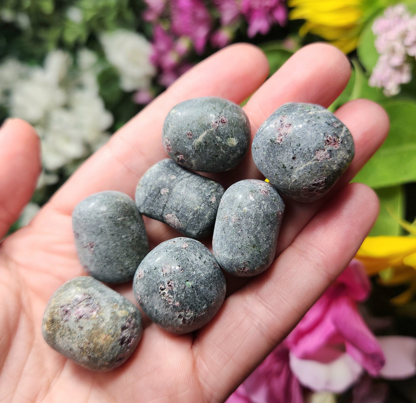 Anyolite Stone