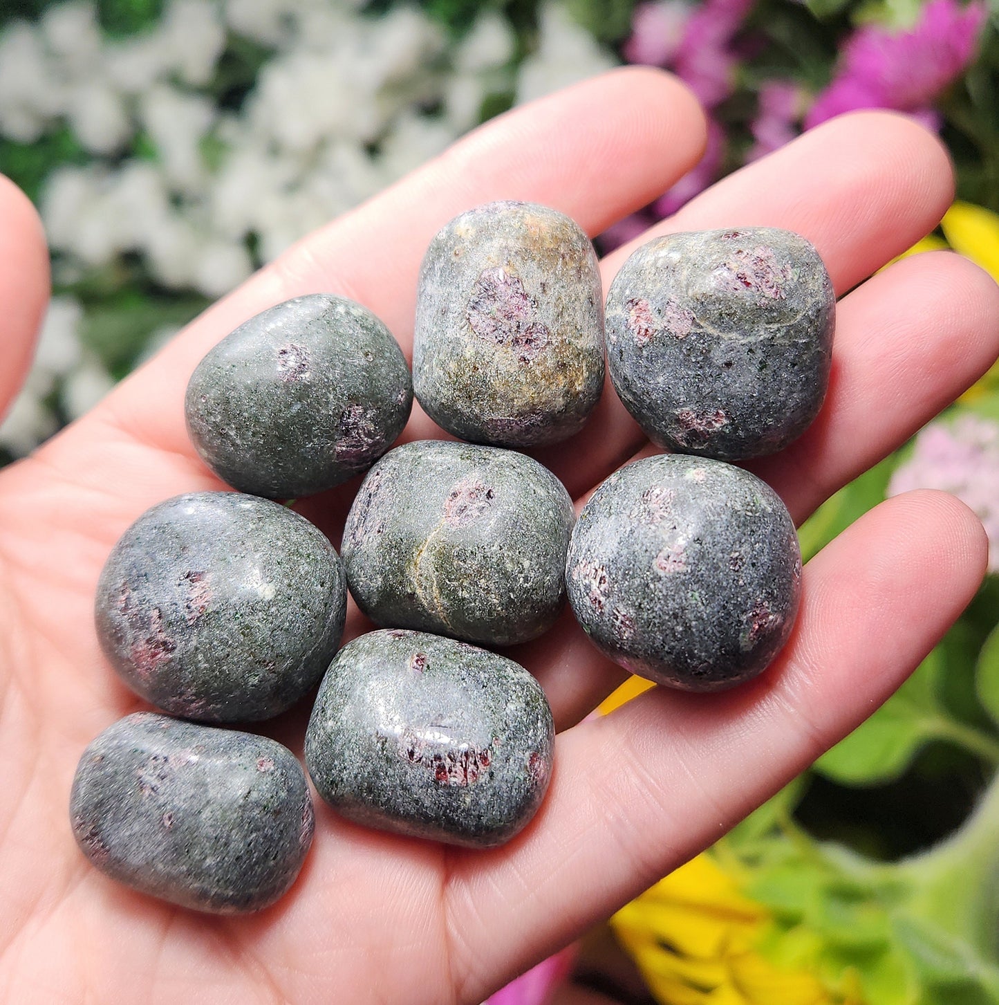 Anyolite Stone