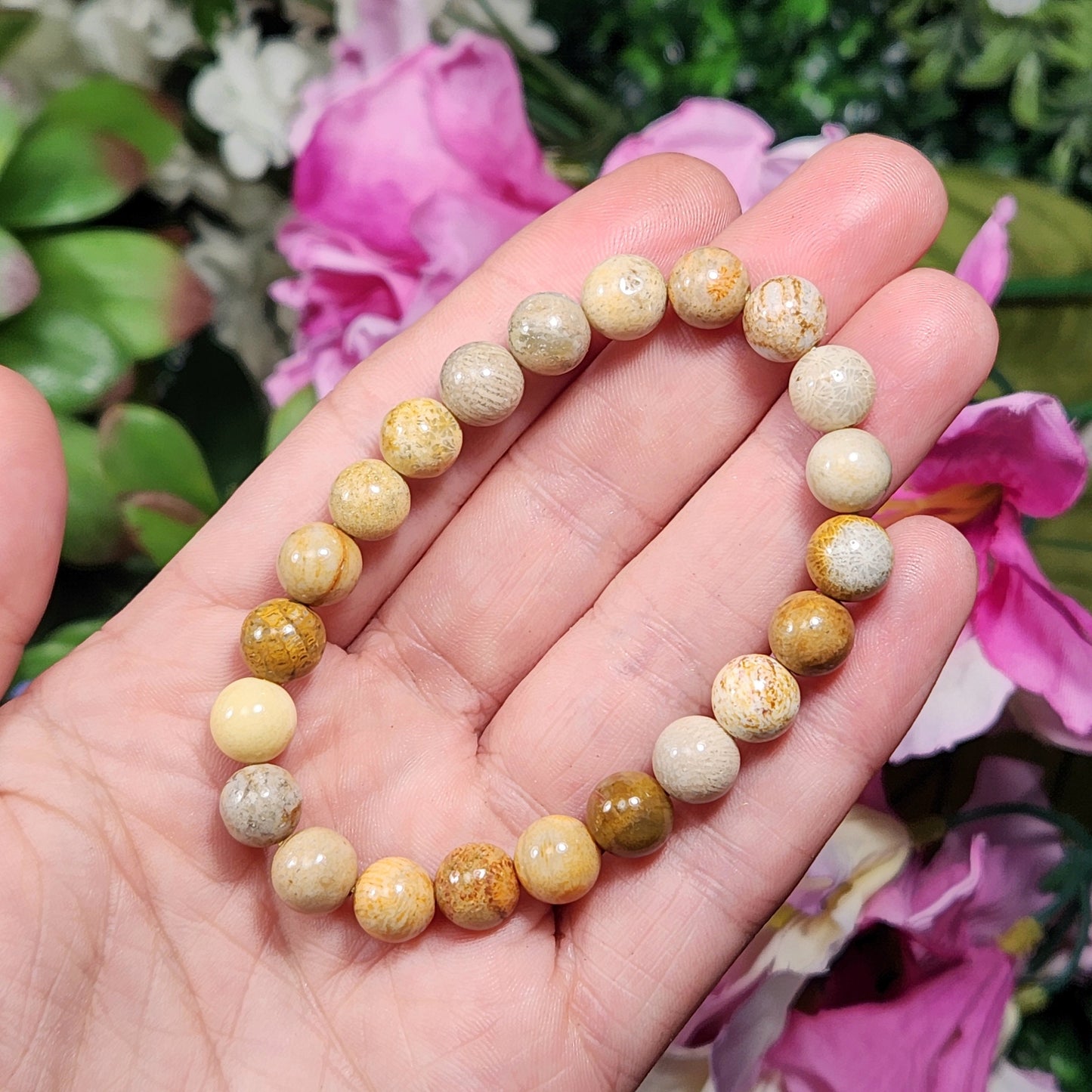 Fossilized Coral Bracelet