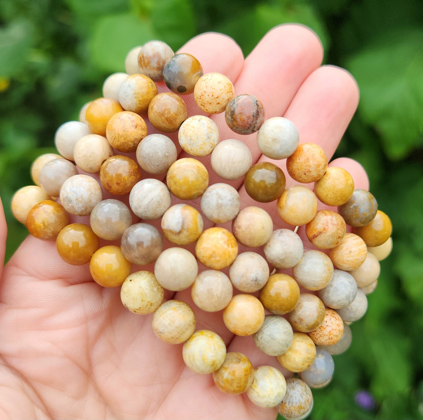Fossilized Coral Bracelet