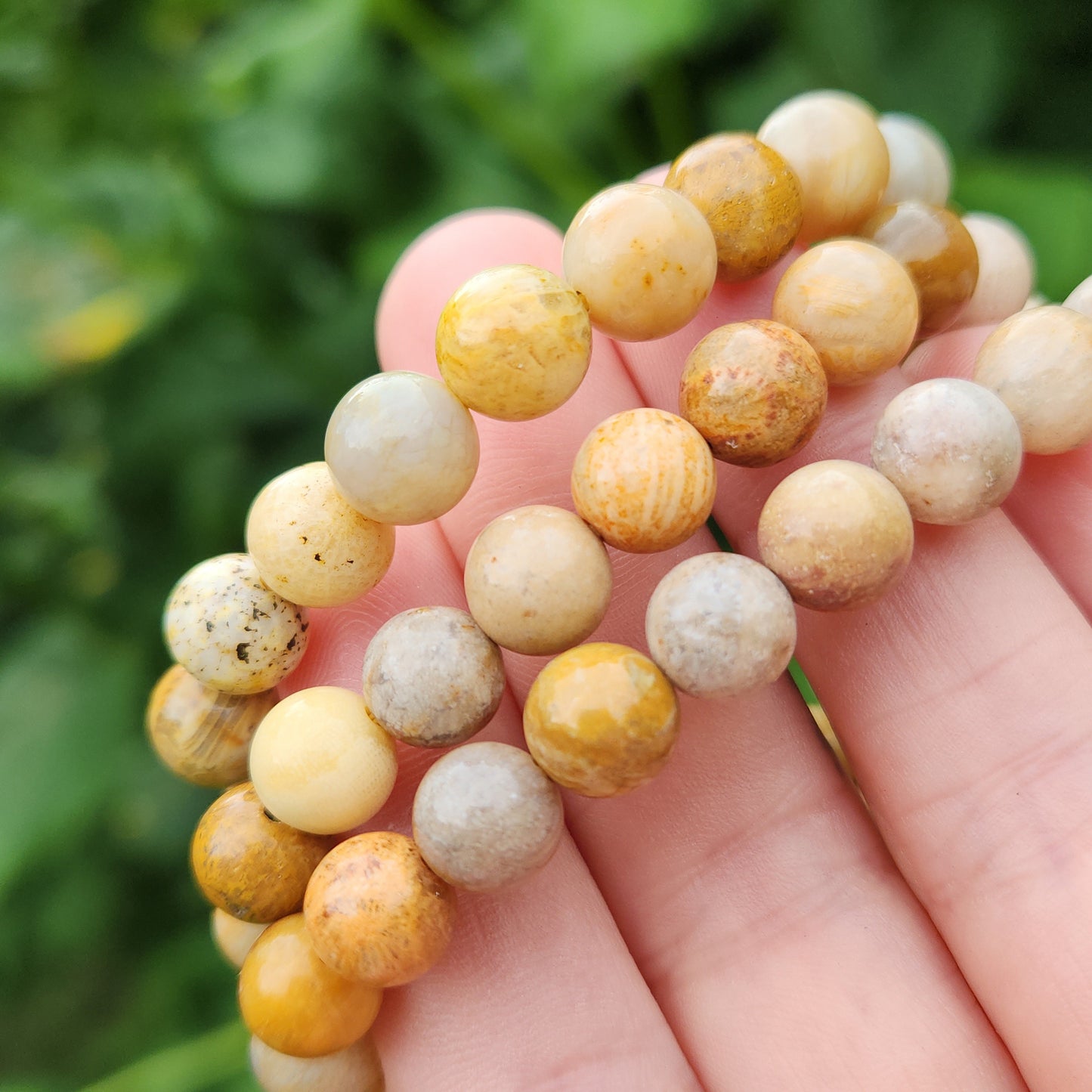Fossilized Coral Bracelet